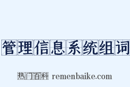 管理信息系统组词是什么意思的图片